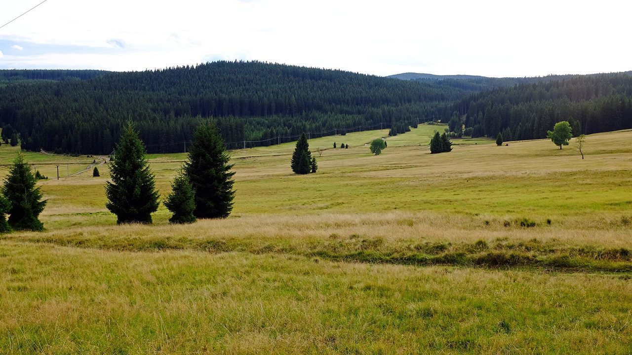 Krušnohorská magistrála (cyklotrasa 23)